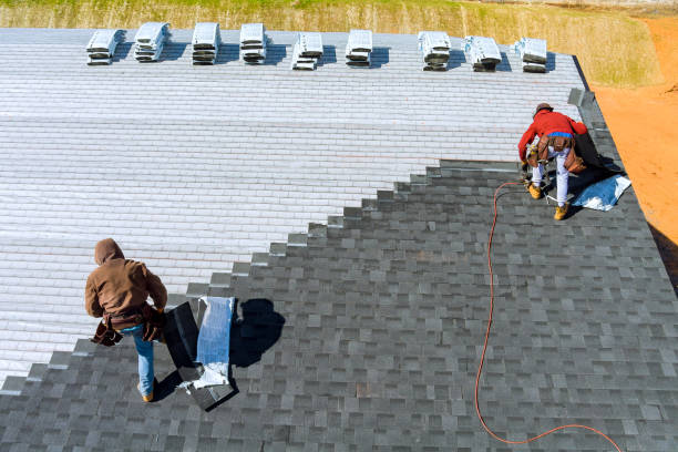 Best Roof Gutter Cleaning  in Houghton, MI