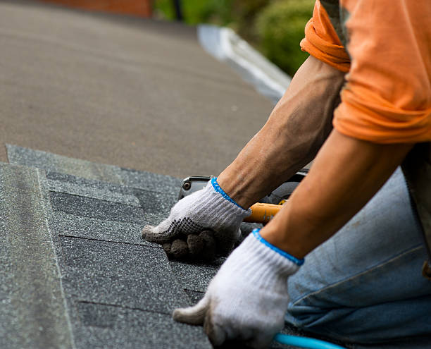 Best Roof Restoration Services  in Houghton, MI
